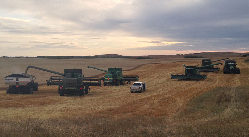 harvest